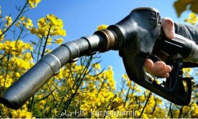 ایران سالانه به یک میلیارد لیتر سوخت زیستی نیاز دارد