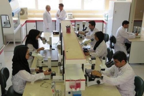 اجرای طرح گرنت فناوری جوانه ویژه پشتیبانی از رساله ها