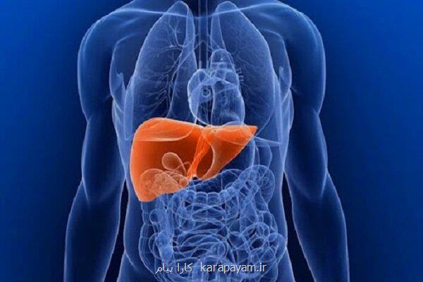 دستیابی محققان دانشگاه تهران به روش نوین درمان سرطان کبد