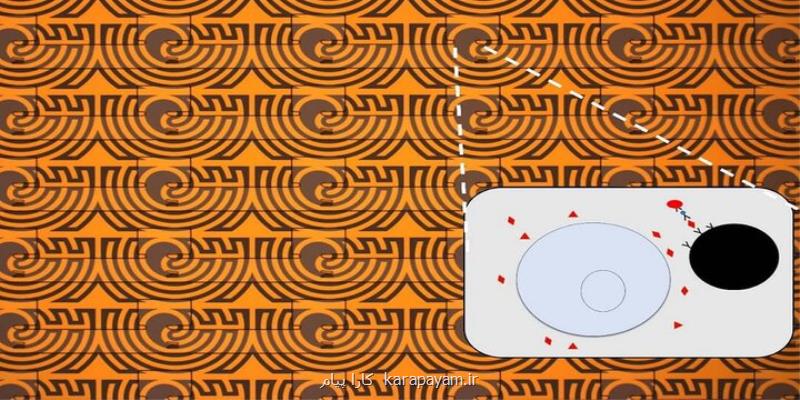 ساخت سنسور زیستی مدرن مبتنی بر میکروفلویدیک در دانشگاه تربیت مدرس