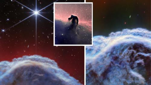 عکاسی از اسب فضایی با جزئیات دقیق
