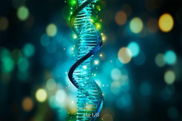 رویداد حوزه ژنتیک با حمایت 4 دانشگاه بین المللی