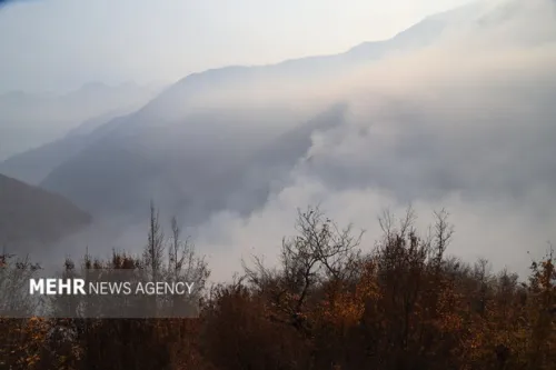 اقدامات سازمان نقشه برداری کشور در پی وقوع حریق جنگل های الیت