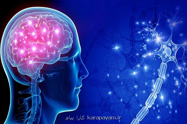 پشتیبانی از طرح های دکتری و پسادکتری هم جهت با اولویت های ستاد شناختی