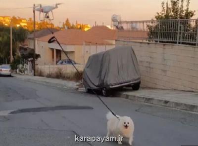 پیاده روی یك سگ با كمك پهپاد برای فرار از كروناویروس! بعلاوه فیلم