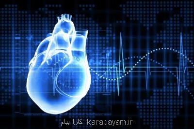 طراحی و ساخت یك داربست رسانا برای مدل سازی قلب